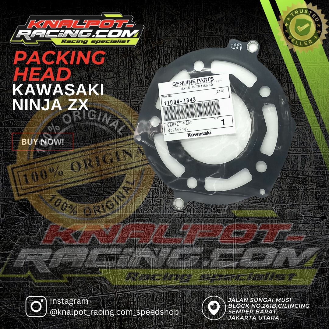 PAKING HEAD KAWASAKI NINJA ZX
